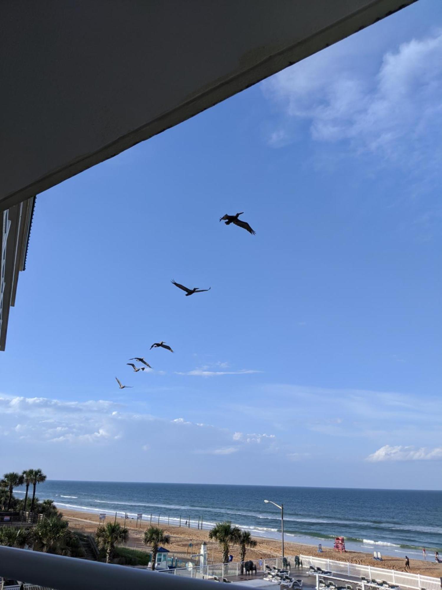 Royal Floridian Resort By Spinnaker オーモンド・ビーチ エクステリア 写真